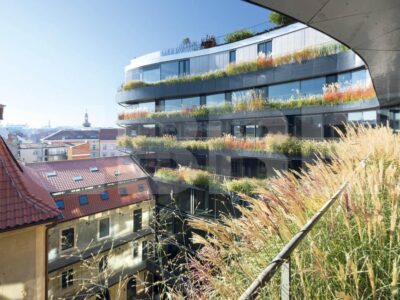 Drn - coworking a servisované kanceláře