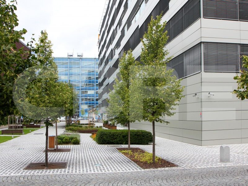 Brumlovka - Beta Sublease